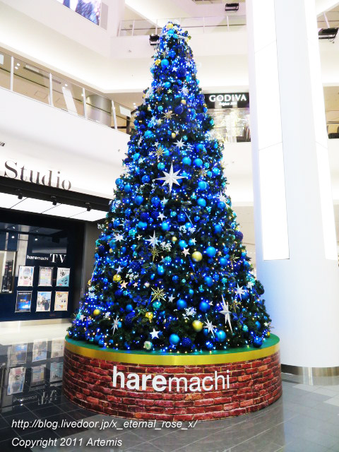 20.12.14.4 イオンモール岡山  (5)