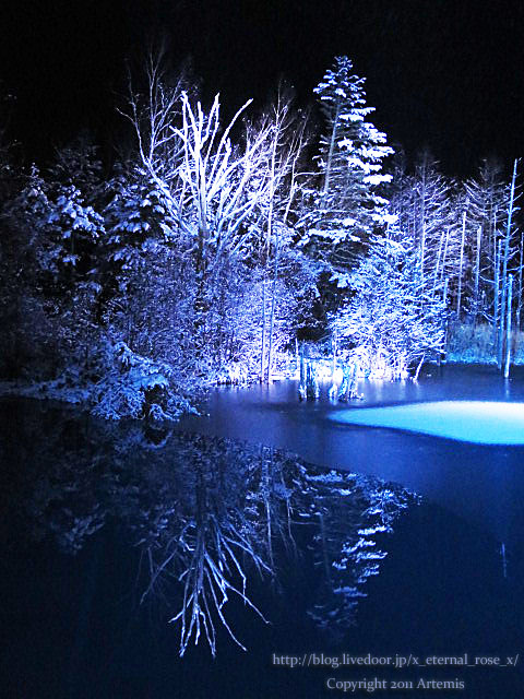 18.11.21.9 青い池  (44)