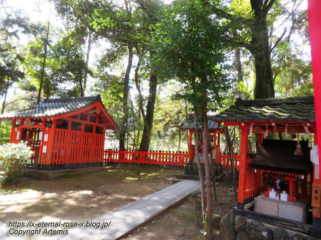 23.3.2.2 長岡天満宮  (3)