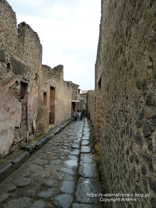 11.6.1.8. ポンペイ遺跡 (124)