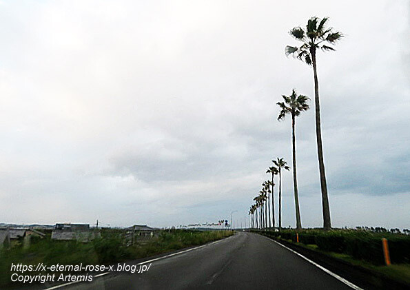 20.11.1.10 国道220号宮崎南バイパス (12)