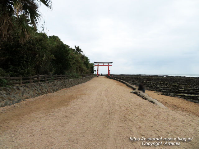 20.11.1.2 青島  (38)