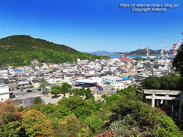 22.5.3.6 玉比咩神社 (65)