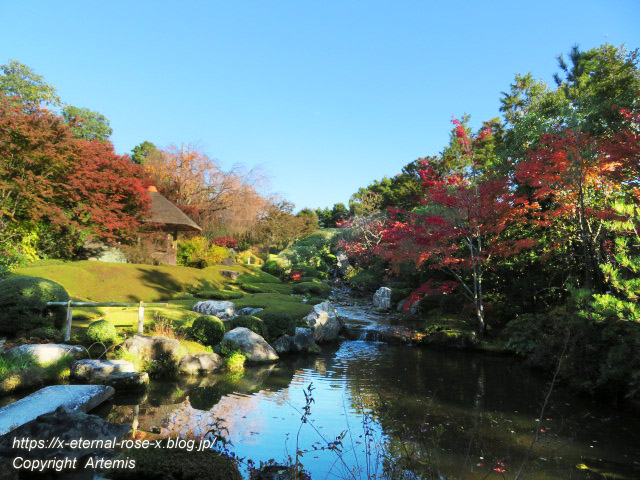 19.11.23.7 妙心寺 退蔵院  (63)