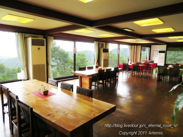 19.7.13 プチフレーズ (19)