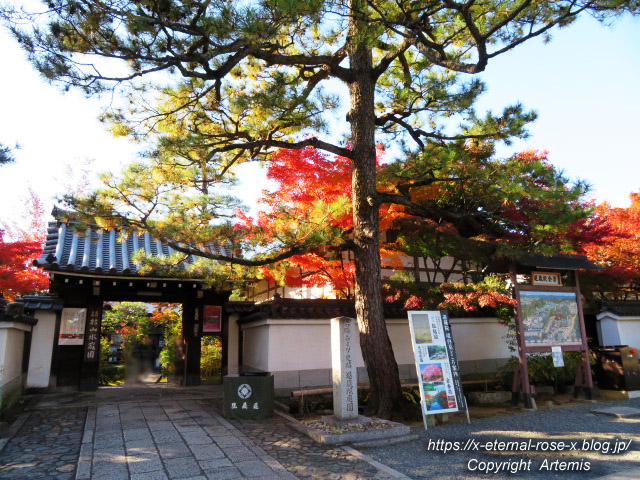 19.11.23.7 妙心寺 退蔵院  (1)