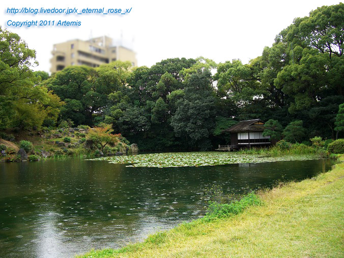 10.10.21 渉成園  (51)