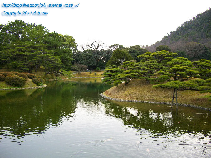 11.2.20 栗林公園 (46)