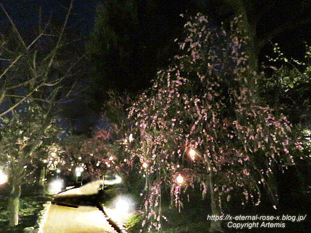 23.3.3. 北野天満宮 (46)