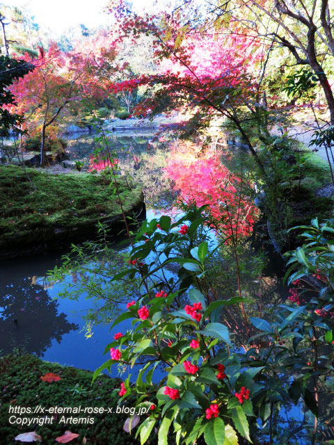 19.11.23.9 法金剛院 (36)