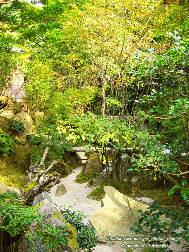 10.10.18.5 宝泉院  (21)