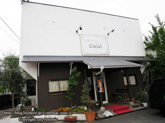 17.5.10 cocco (80)