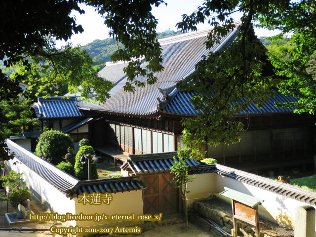 10 本蓮寺  (20)