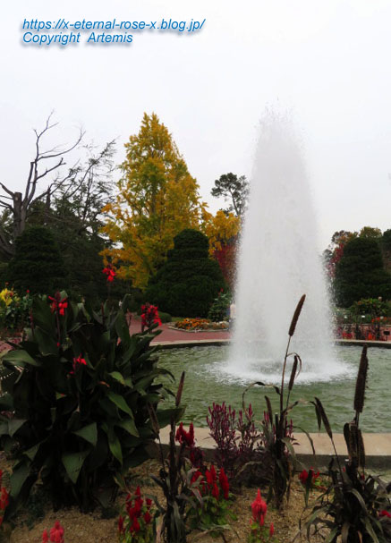 19.11.241 京都府立植物園 (146)