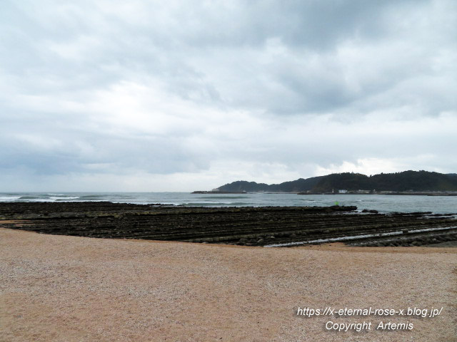 20.11.1.2 青島  (20)