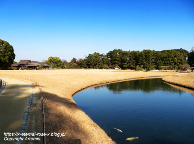23.1.1 岡山後楽園  (108)