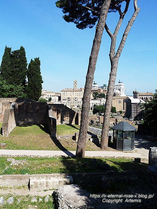 11.5.30.4 コロッセオ  (21)