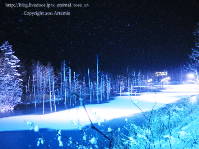 18.11.21.9 青い池  (41)