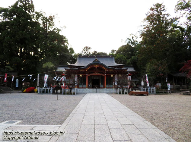 19.11.26.4 長岡天神 (49)