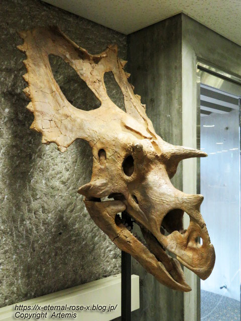 19.8.18.1 恐竜動物園 (138)