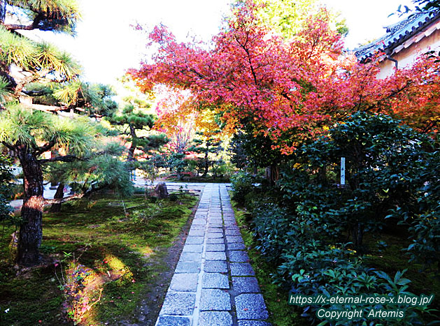 19.11.23.9 法金剛院  (8)