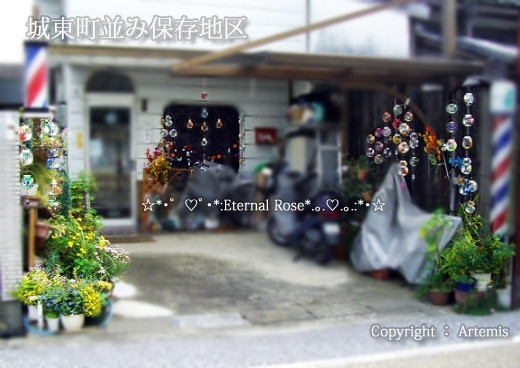 イメージ 8