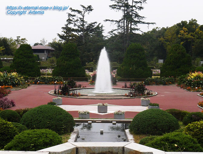 19.11.241 京都府立植物園 (207)