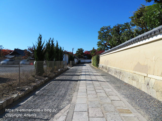 19.11.23.1妙心寺  (12)