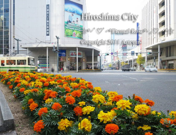21 広島  (5)