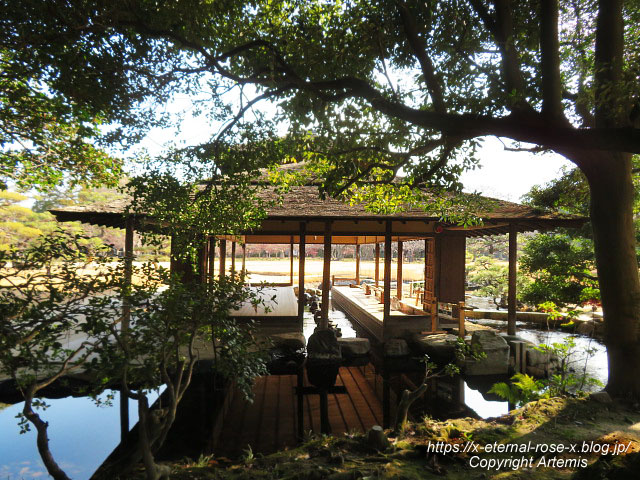 23.1.1 岡山後楽園  (76)