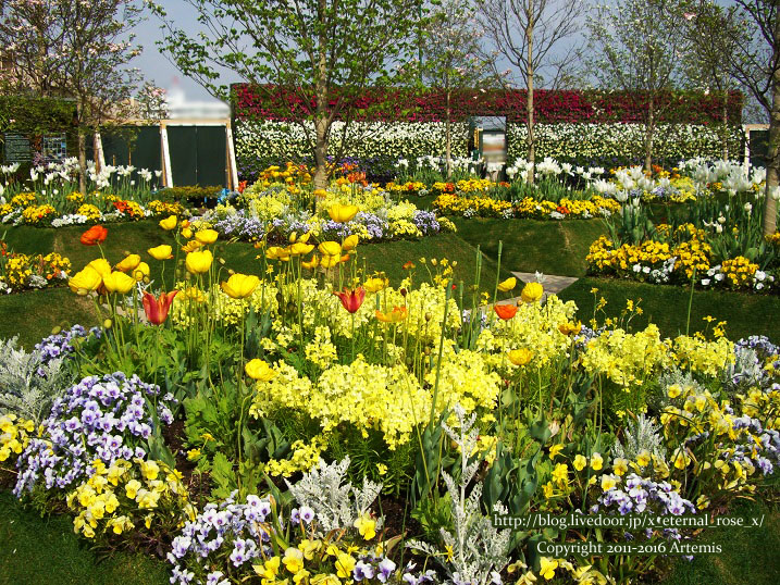 27 おかやま花だより  (48)
