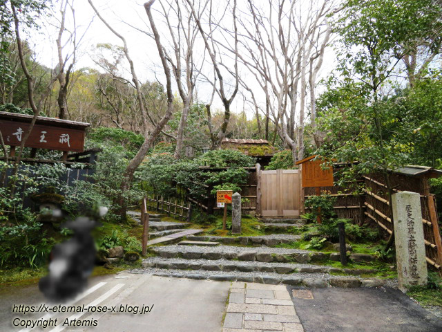20.3.19.9 祇王寺  (7)