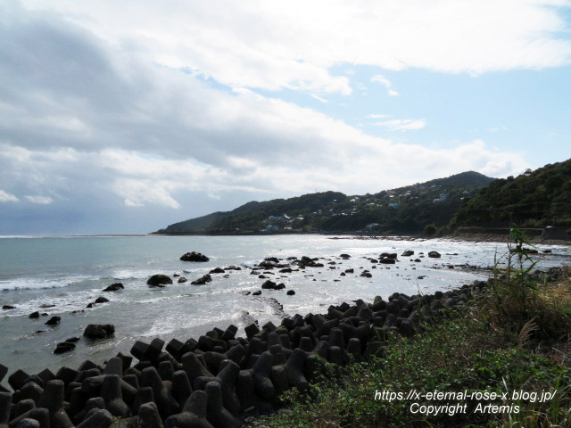 20.11.1.5 いるか岬  (20)