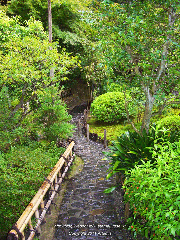 10.10.24.4 鈴虫寺 (15)
