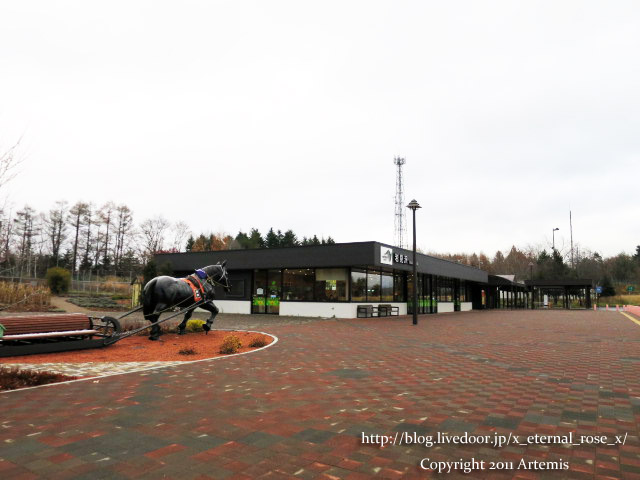 18.11.21.7 岩見沢サービスエリア下り もりもと 雪鶴   (4)