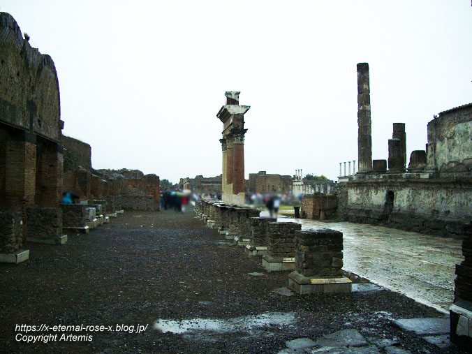 11.6.1.6 ポンペイ遺跡 (39)