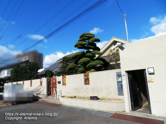 21.12.28 かんくっく  (58)