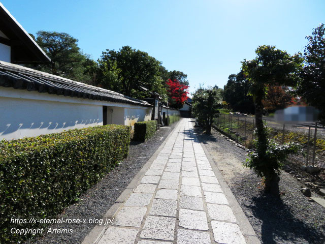 19.11.23.1妙心寺  (13)