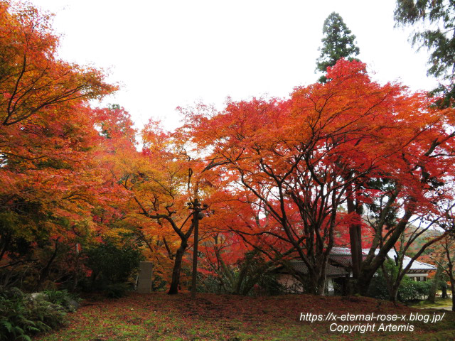 19.11.27 高雄 神護寺  (138)