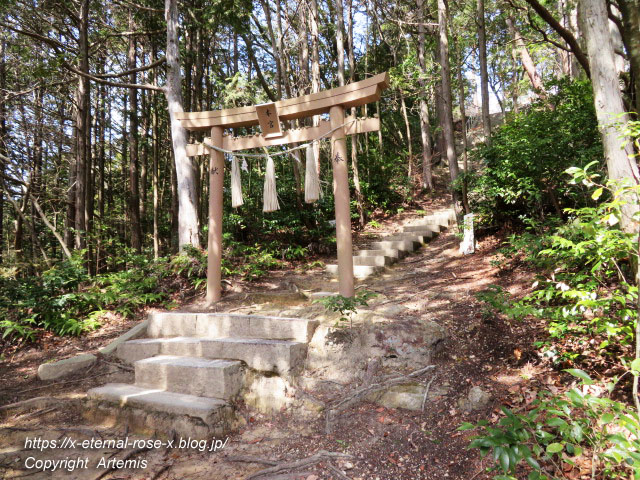 22.3.5.2 石上布都魂神社 (66)