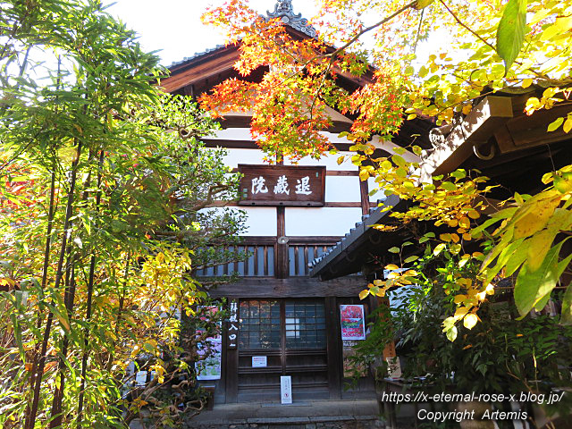 19.11.23.7 妙心寺 退蔵院  (8)