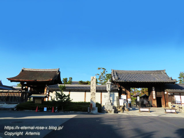 19.11.23.4.1 妙心寺  (3)