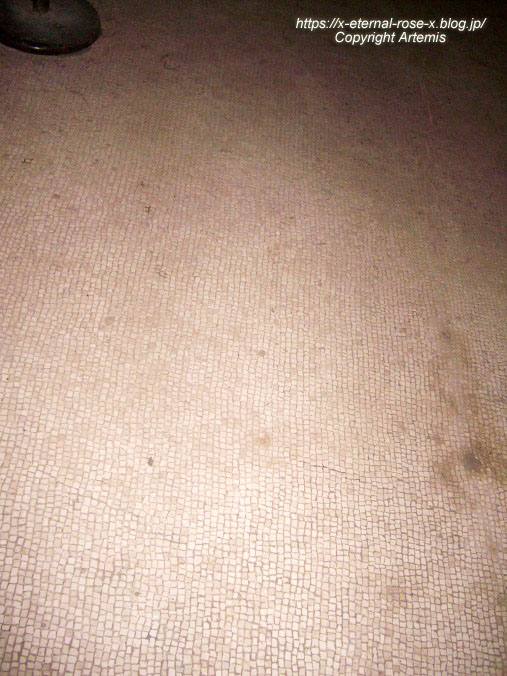 11.6.1.6 ポンペイ遺跡  スタビアーネ浴場  (61)