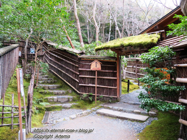 20.3.19.9 祇王寺  (10)