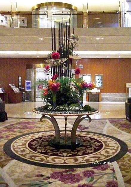 イメージ 14