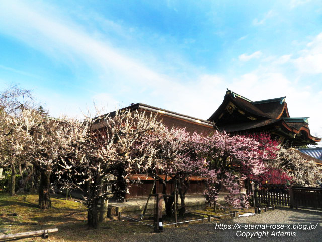 23.3.4 北野天満宮  (45)