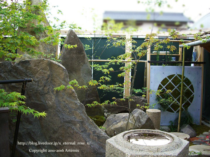 27 おかやま花だより  (31)