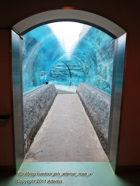 18.11.22.18 旭山動物園  (8)