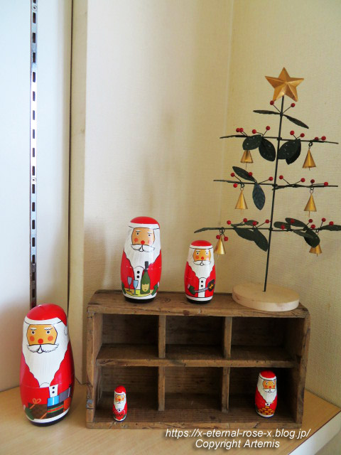 22.12.25 サフラン  (16)