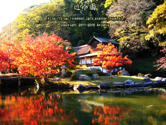 0 近水園  (8)